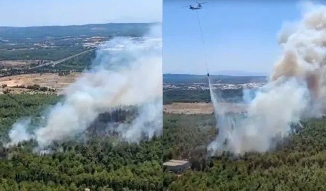 Buca Tınaztepe'de orman yangını: Havadan ve karadan müdahale sürüyor