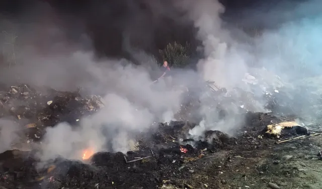 İzmir Ödemiş'te otluk alanda yangın çıktı, büyümeden söndürüldü