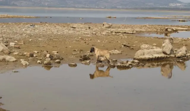 Türkiye’de yağış arttı, İzmir’de çok düşük kaldı