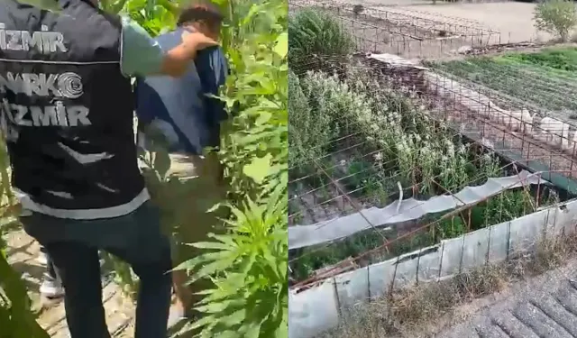 Urla'da yasaklı madde operasyonu