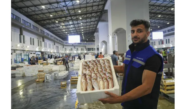 Balıkçılar sezona hızlı başladı: Ağlar doldu, yüzler güldü