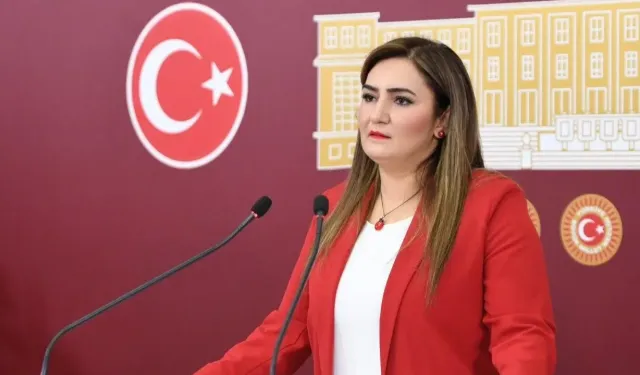 Sevda Erdan Kılıç’tan Mustafa Balbay’ın CHP sözlerine tepki: “Tasfiyeye karşıyız”