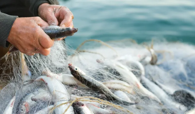 Su ürünleri sektörü İzmir’de Future Fish’te buluşacak