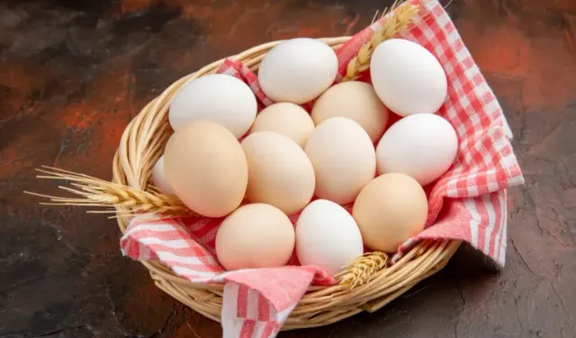 Yumurta kabuğundaki kodların sırrı nedir?