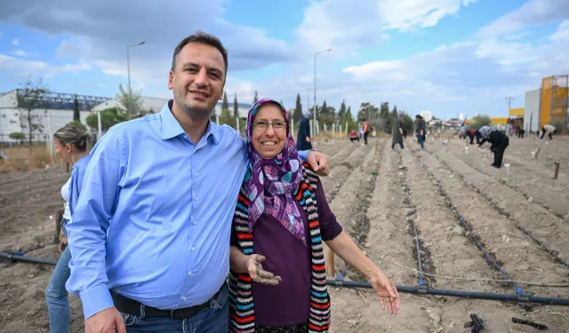 Bornova’nın kent bostanlarında kış mesaisi başladı