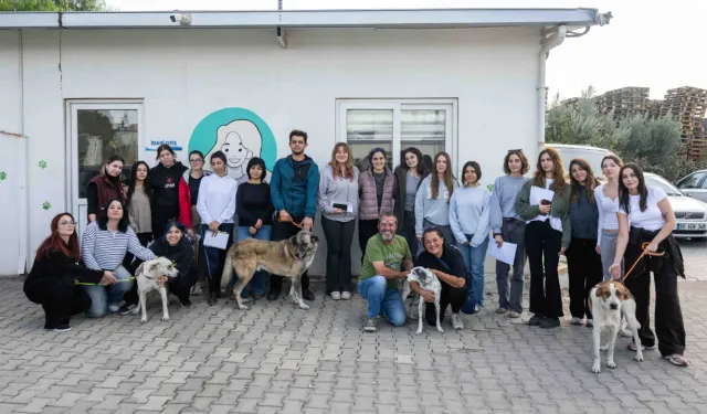 Ege Üniversitesi kampüsünden alınan 83 köpek sahiplendirildi
