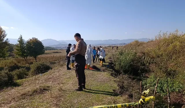 Derede çürümüş erkek cesedi bulundu