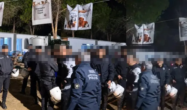 Ege Üniversitesi'nde gece yarısı arbede: Yaklaşık 200 köpek toplatıldı