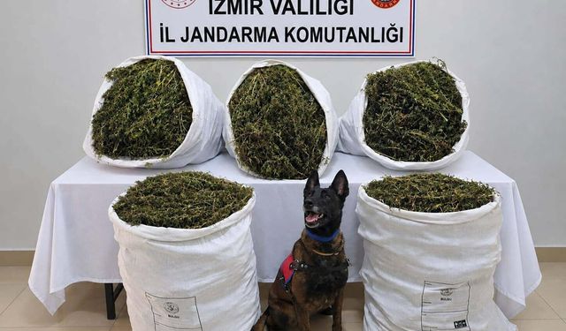 İzmir’de yasaklı madde operasyonu: Ele geçirilen esrarın miktarı dikkat çekti