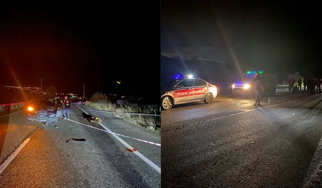 Otomobilin çarptığı yaya hayatını kaybetti