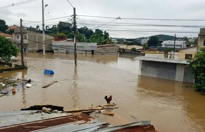 Lo siento Wilson ne demek? Lo siento Wilson olayı ne?