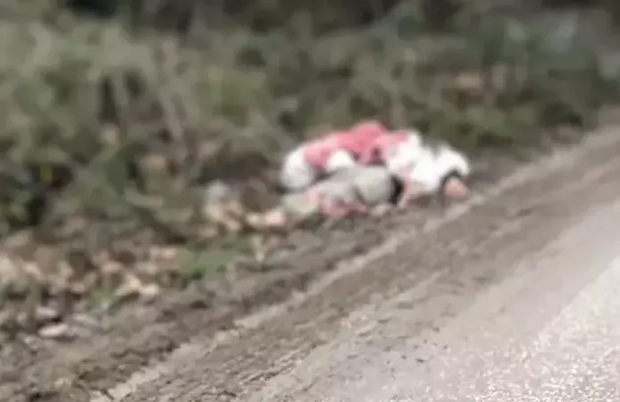 TIR dorsesinden köye bırakıldılar: 1 göçmen hayatını kaybetti