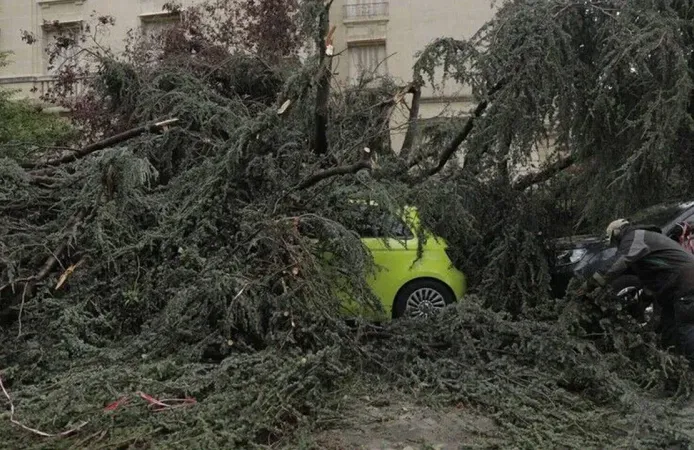 Fransa'da şiddetli fırtına can aldı: 2 kişi hayatını kaybetti, 53 bin hane elektriksiz kaldı