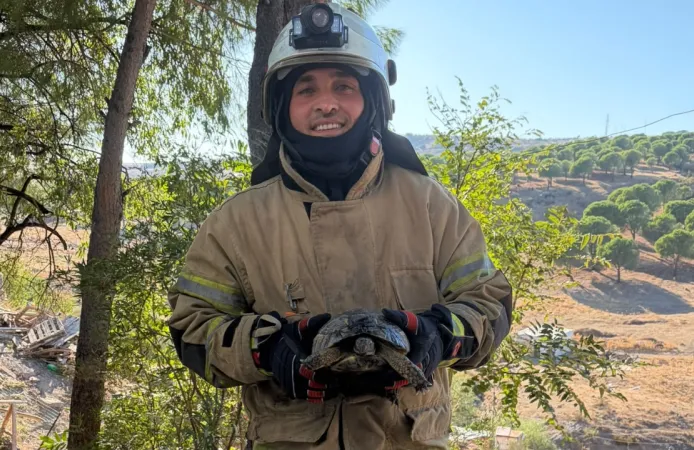 Bergama'daki yangında ekiplerden kaplumbağaya yardım eli
