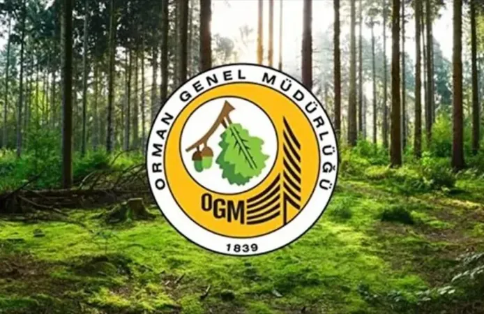 OGM müfettiş alım şartları neler? Başvurular ne zaman başlayacak?