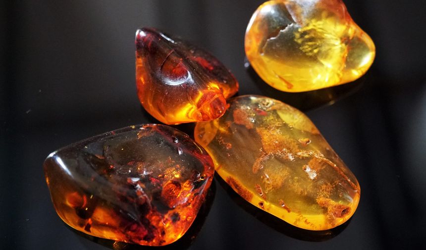 Amber nasıl elde edilir? Amber nedir, nasıl kokar?