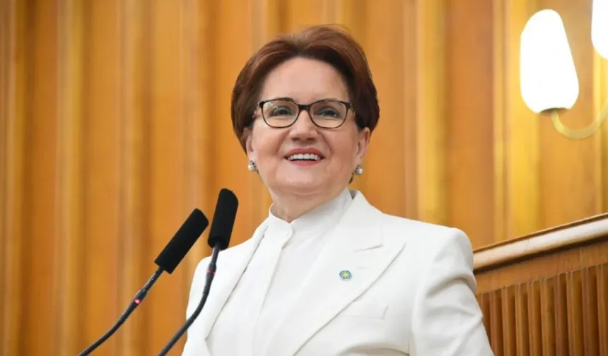 Meral Akşener Vakfı’nın amacı ve logosu belli oldu