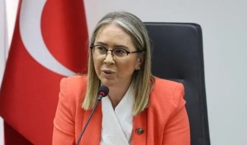 Çankırı'dan Tugay'a sert sözler: Kimse, İzmir’i kendi beceriksizliğinin kalkanı yapamaz!