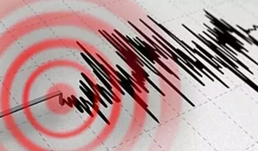 Japonya'da şiddetli deprem korkuttu