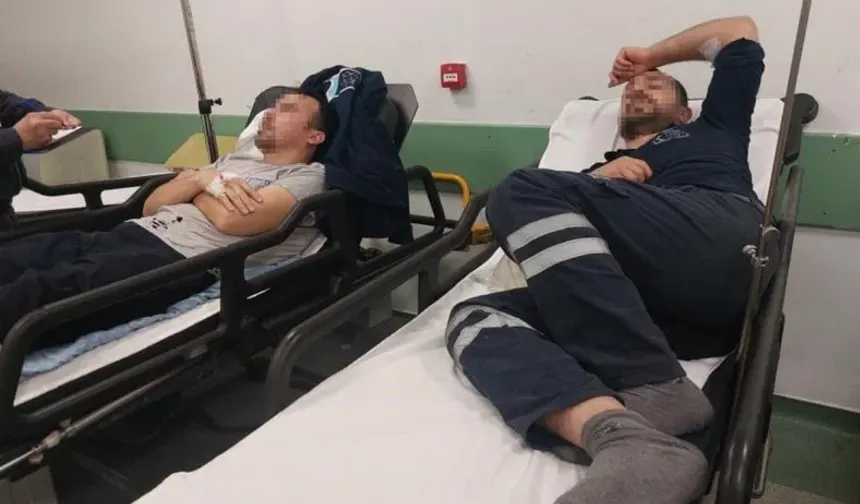 SON DAKİKA | 10 fabrikada çalışan 225 işçi hastanelik oldu