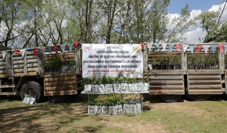 Kadın kooperatifine 1500 fidan desteği