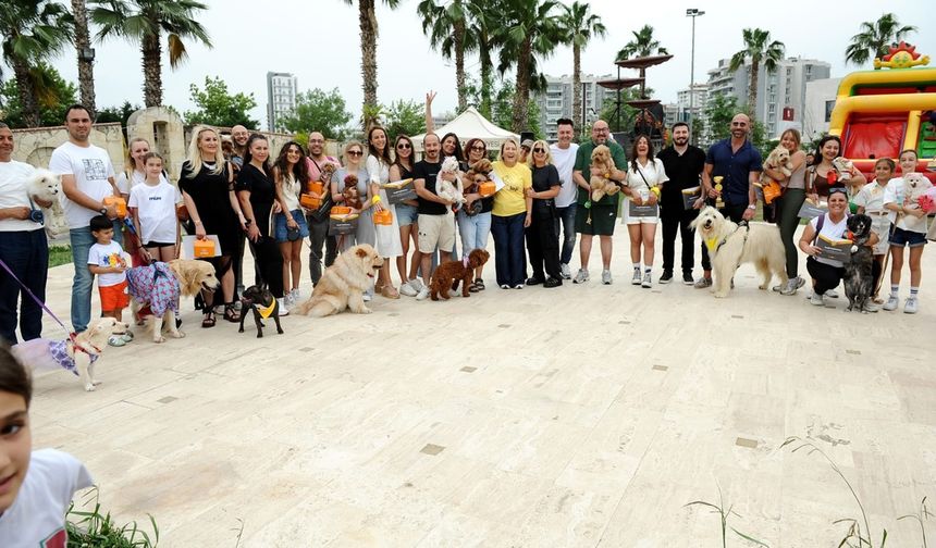 Karşıyaka'da patili dostlar için renkli festival