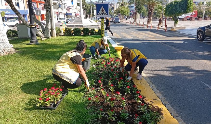 Aydın'da görsel şölen: 200 bin çiçek toprakla buluştu
