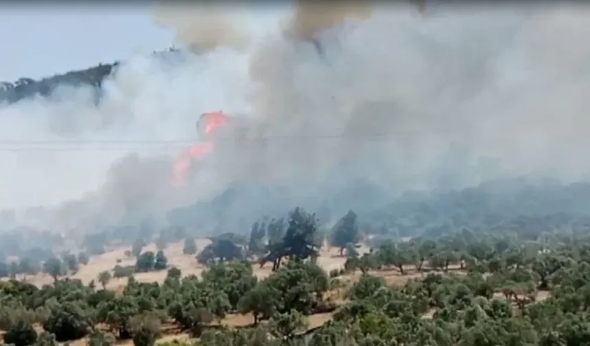 Foça'da yangın kontrolden çıktı, yerleşim yerlerine sıçradı: 1 gözaltı