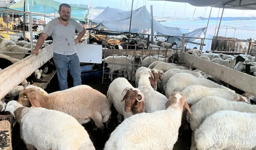 Kurban pazarında üretici maliyetten, müşteri alım gücünün düşmesinden dertli