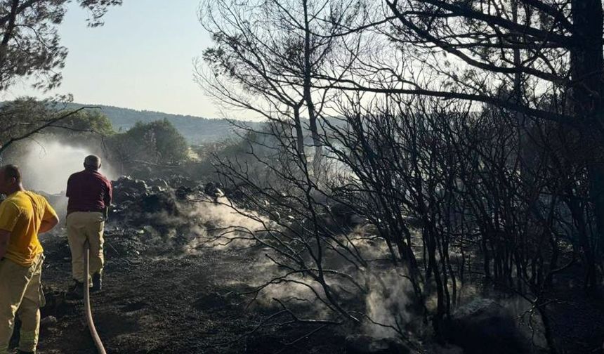 İzmir'de mangal yakarken orman yangınına neden olan kişi tutuklandı