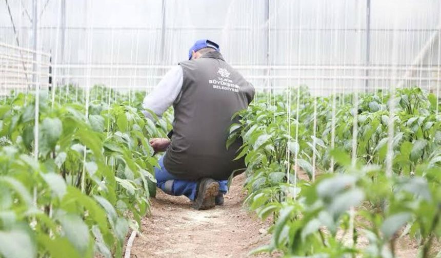 Aydın'da üretimin can suyu yeniden veriliyor