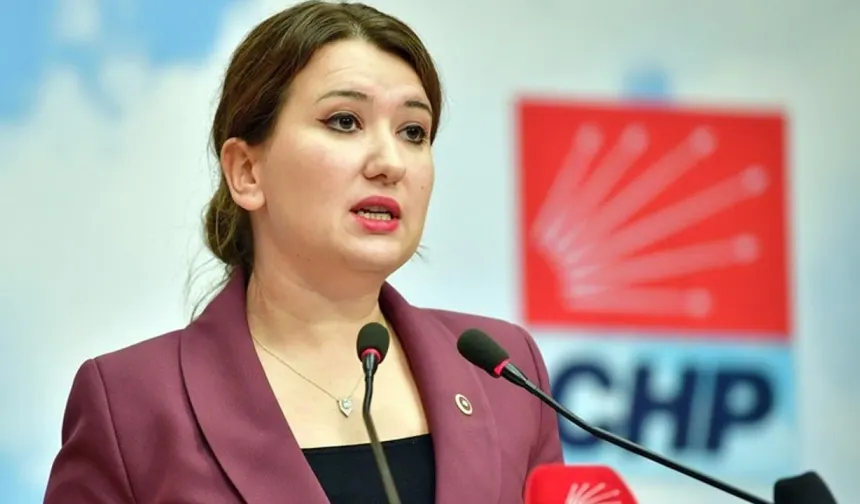 Gökçen'den 'demokrasi' vurgusu: Türkiye'de kirli ve tehlikeli bir akıl devrede!