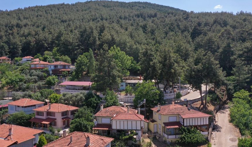 Karacasu Belediyesi'nden yangın uyarısı