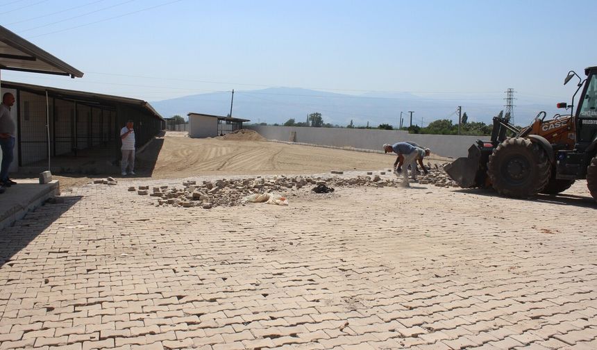 Sultanhisar'da sokak hayvanları için yuva: Çalışmalarda sona gelindi