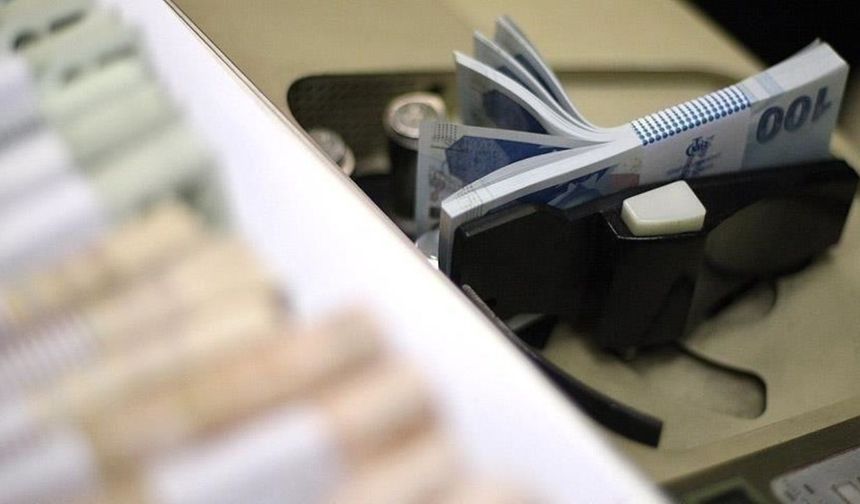 Bankalarda unutulan yaklaşık 732,1 milyon TL TMSF'ye aktarıldı