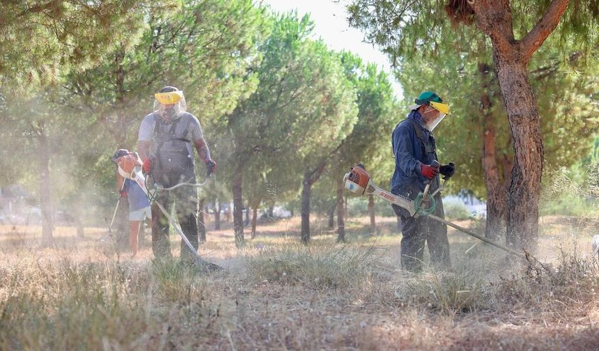 Didim'de doğaseverler el ele verdi: Geleceğe umut oldu