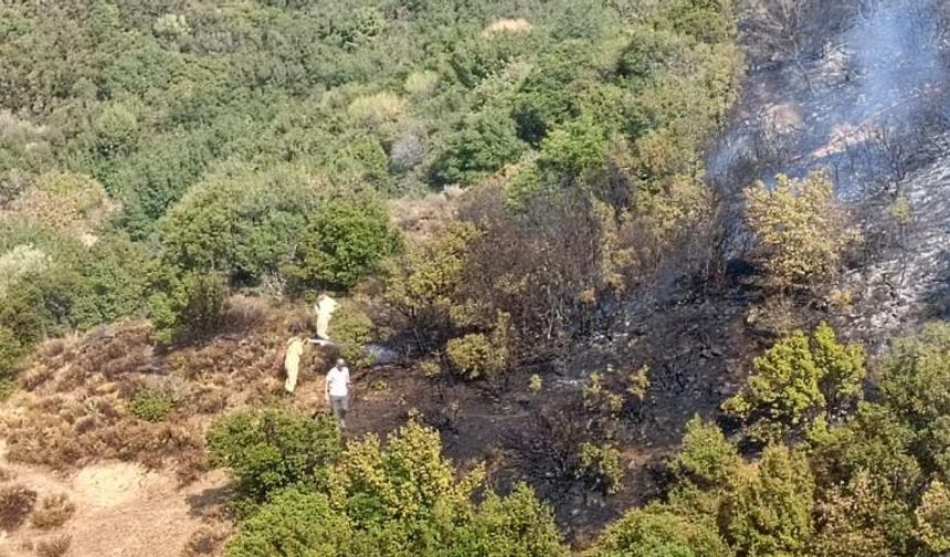 İzmir ormanları alevlere teslim oldu: Yangınlar kontrol altına alındı!