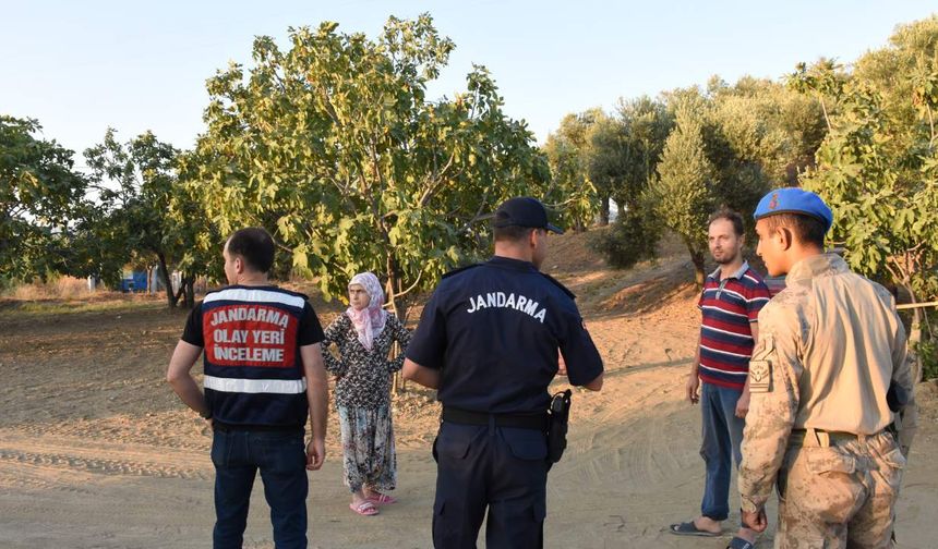 Jandarmadan incir ve zeytin bahçelerinde hırsızlık önlemi