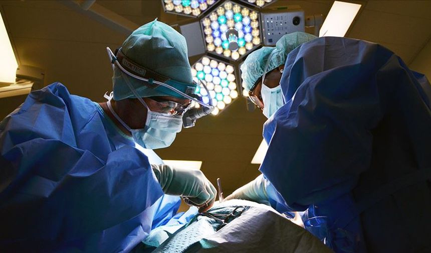 Bilim dünyasında çığır açacak gelişme! Organları dondurmak artık mümkün olacak