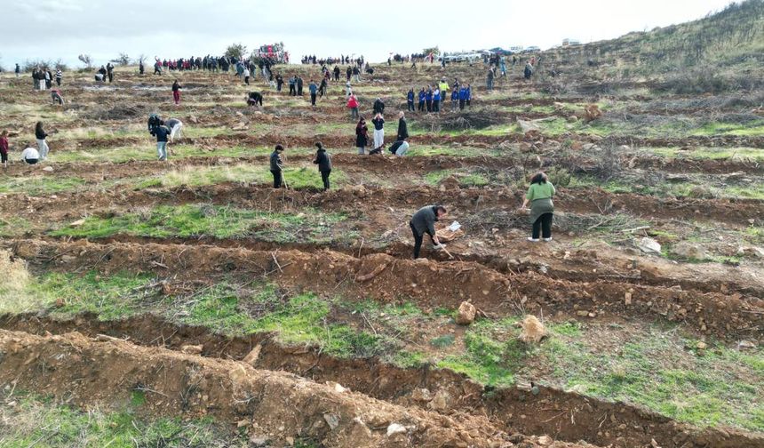 Manisa’da Milli Ağaçlandırma Günü coşkusu
