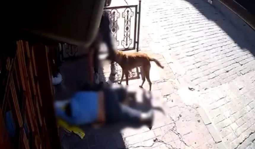 Nöbet geçiren adamın yanına gelenler, yardım etmedi, eşyalarını çaldı: Hırsızlar 2 ay sonra yakalandı