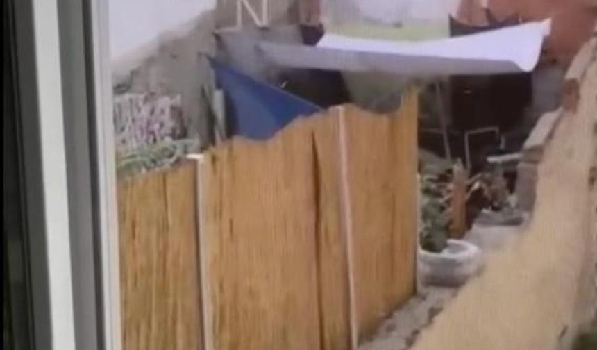 Sosyal medyada tepki çeken olay: Köpeklere şiddet uygulayan şahıs yakalandı!