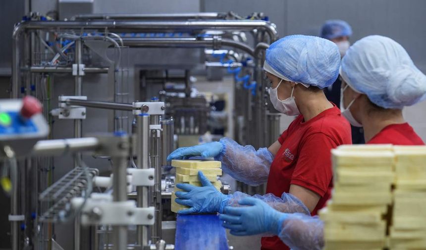 TKDK hibeleri İzmir’in süt tesislerini AB standartlarına taşıyor