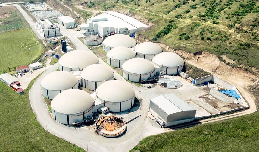 Arf Bio ne iş yapar? Arf Bio sahibi kim?