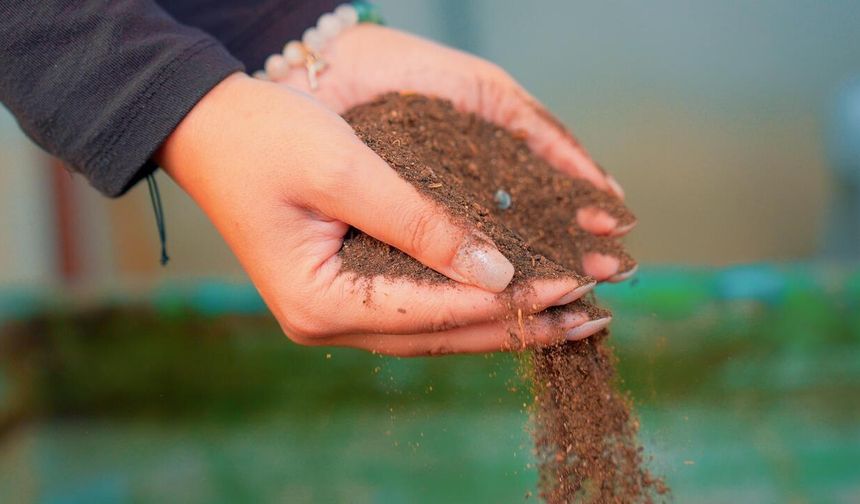 Didim'de pazar atıkları, toprağa can oluyor