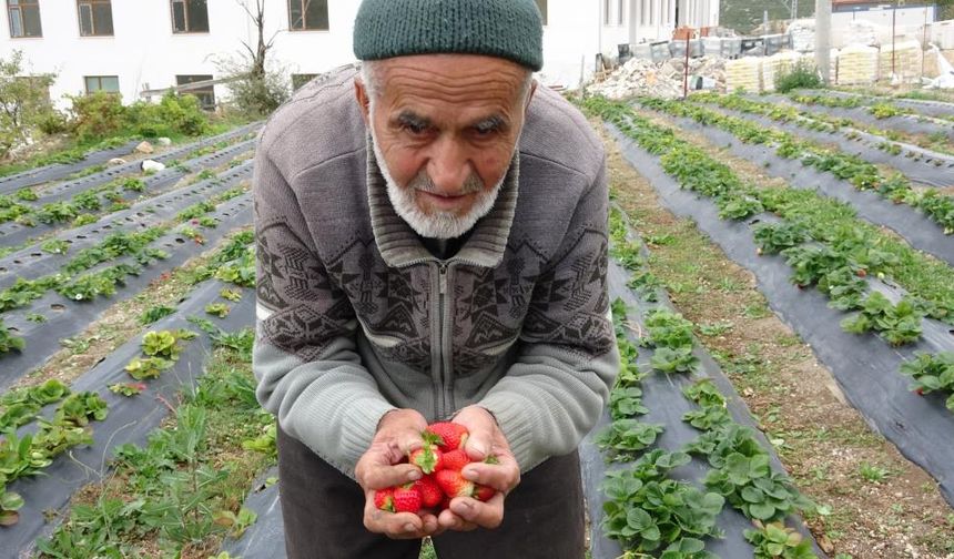 İbrahim Çakmakçı kimdir, neden öldü?