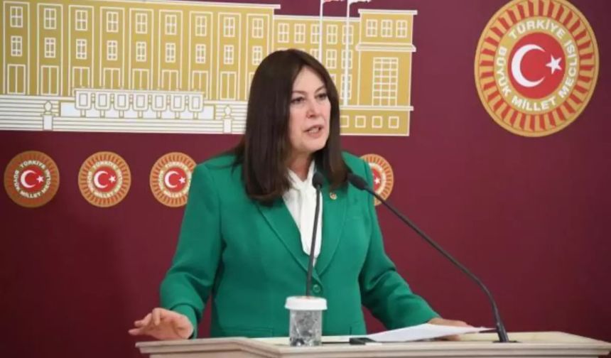 İYİ Partili Sunat'tan iktidara sert eleştiri: Cezaları artır, vatandaşı korkut, bütçeyi doldur!