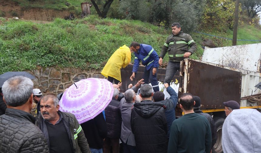 Nazilli'de toprak yeşeriyor: Beş bin ağaç fidanı dağıtıldı