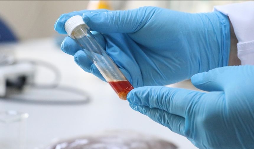 Üzüm posasından tek hücre yağı üretildi