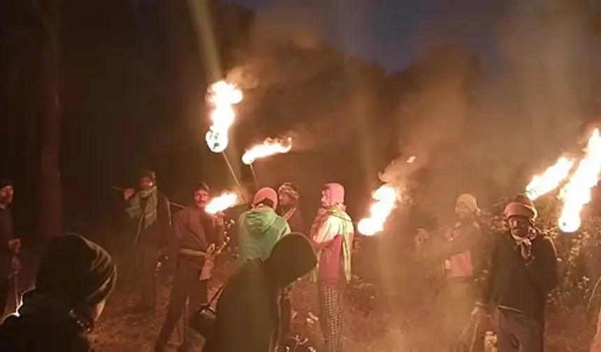 Hindistan'da fil korkusu geceyi çatılarda geçirtiyor: 22 ölü